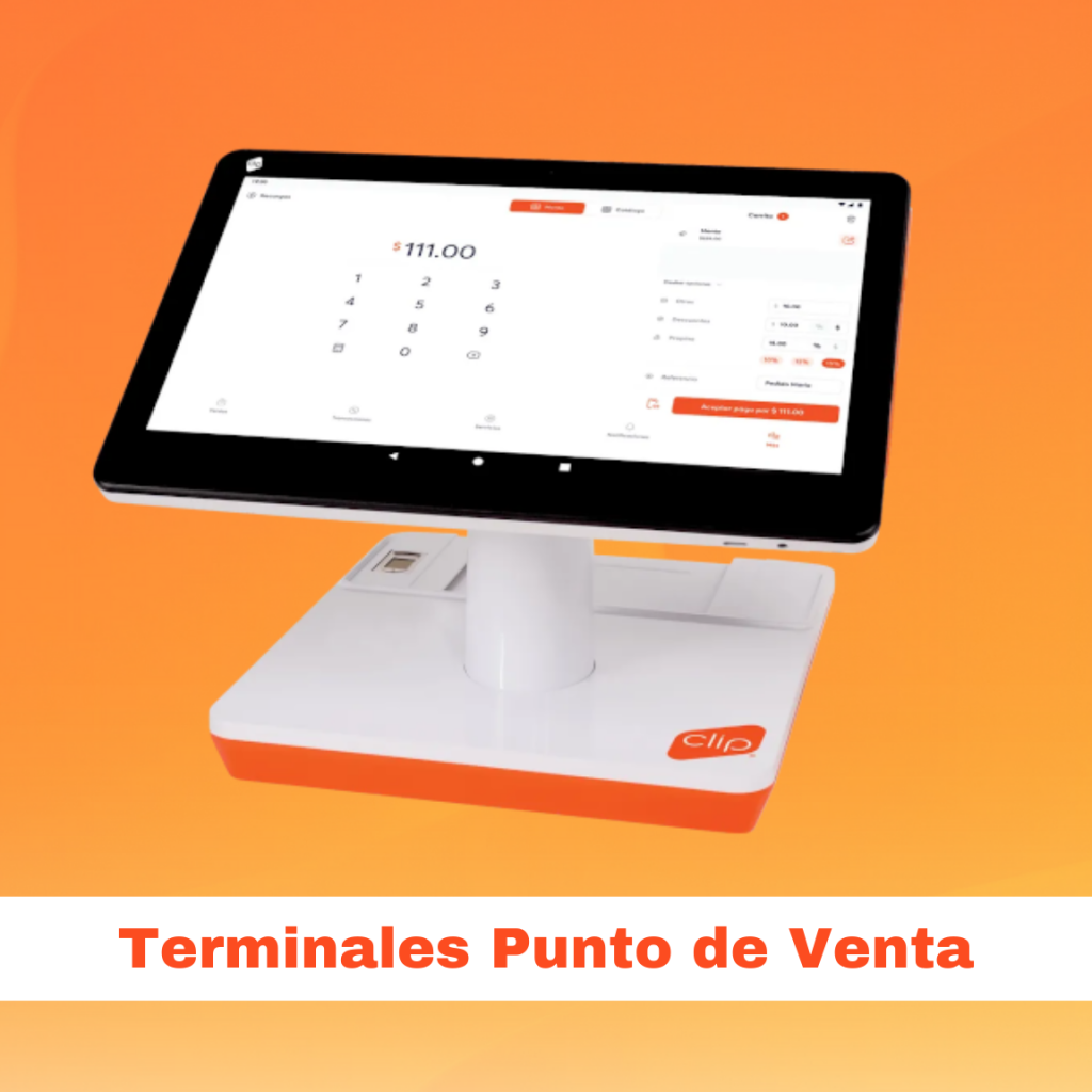 Categoria Terminal punto de venta